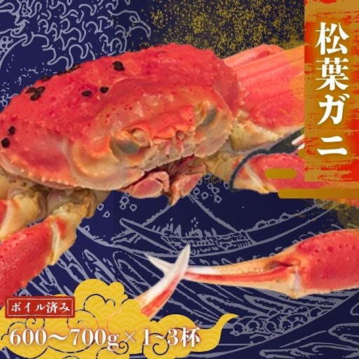 【ふるさと納税】松葉ガニ 〈ボイル〉マツバガニ タグ付き＜選べる容量＞＜先行予約受付中！11月中旬～2月中旬頃発送予定＞600～700g 1200～1400g 1800g～2100g 松葉 カニ 松葉蟹 浜茹で 海鮮 蟹味噌 かに味噌 鍋 冷蔵 人気 おすすめ 贈り物に プレゼント 贈与 ギフト 祝辞