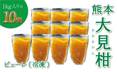 熊本大見柑ピューレ 冷凍 1kg 10個