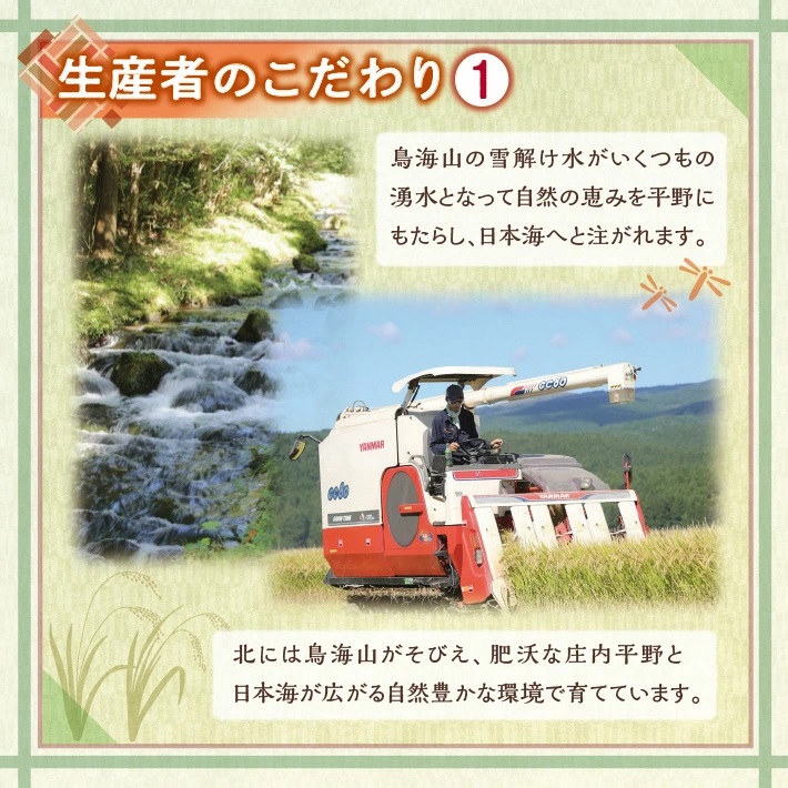 特別栽培米 ひとめぼれ 玄米 5kg 山形県遊佐産 鳥海山の恵（令和6年産米）