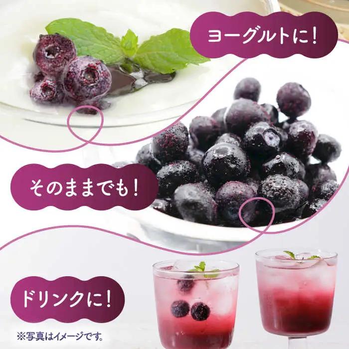 【訳あり】 冷凍ブルーベリー 小粒 約2kg（約500g×4pc） 【すみれファーム】[ZEP047]