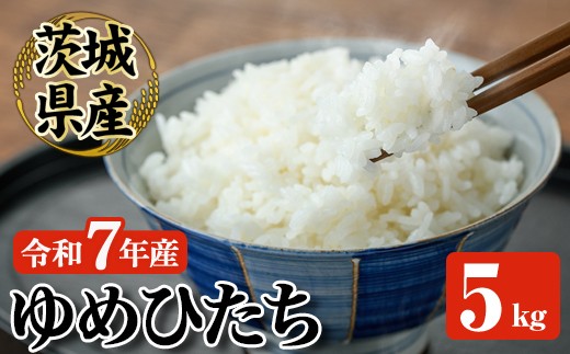
                  常陸大宮産 ゆめひたち 5kg 米 お米 令和7年 精米 白米 米 こめ コメ ご飯 ごはん 5kg 5キロ 【JA常陸　常陸農業協同組合】【ho1697】
                