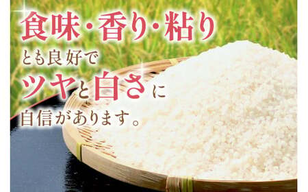 【令和7年産】【新米先行予約】石見産 きぬむすめ 10kg<2025年11月より配送開始> 米 お米 きぬむすめ 精米 白米 玄米 ごはん お取り寄せ 特産 10キロ 10kg 【058_1835】