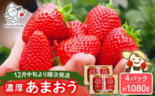 【先行予約】あまおう 1080g（270g×4パック） ココロファームの濃厚あまおう【2026年12月中旬～翌4月上旬発送】《豊前市》【ココロファーム】[VAE009] 苺 いちご あまおう 福岡県産