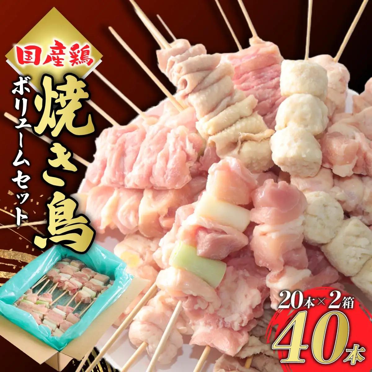 鶏肉 焼き鳥 ボリューム 40本 国産鶏肉 焼き鳥