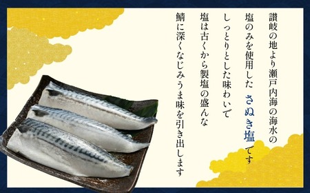 【 スピード配送 】 適塩さば 10枚 さば
