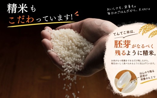 【新米】てんてこ米 あきたこまち 精米 10kg（10kg×1袋）今清水農園 ｜てんてこまい 長野県 飯山市 信州 アキタコマチ 常盤 コメ ごはん おいしい オススメ 令和8年（Cy-001）