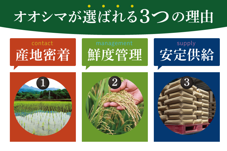 米 ミルキークイーン 精米 5kg 茨城県産 白米 国産米 単一原料米 お米 5キロ（94-03）