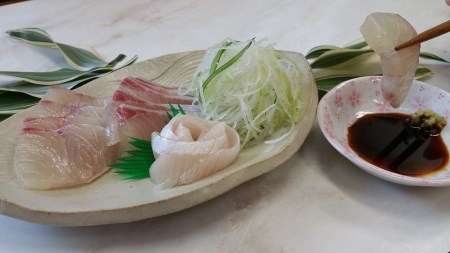 No.1012-1 ふる里館 カンパチブロック・カマセット　1ケース