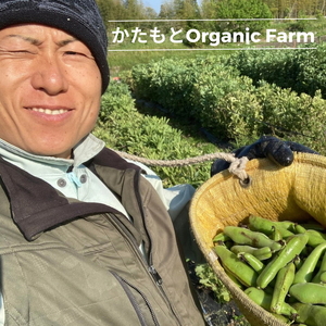 【2024年産 予約】甘～い そら豆 4kg【期間限定】京都府・亀岡産 自然栽培のかたもとオーガニックファームよりお届け ※2024年4月末頃～6月初旬に順次発送予定 ※離島への配送不可