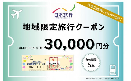 
日本旅行 地域限定 旅行クーポン（30,000円分）
