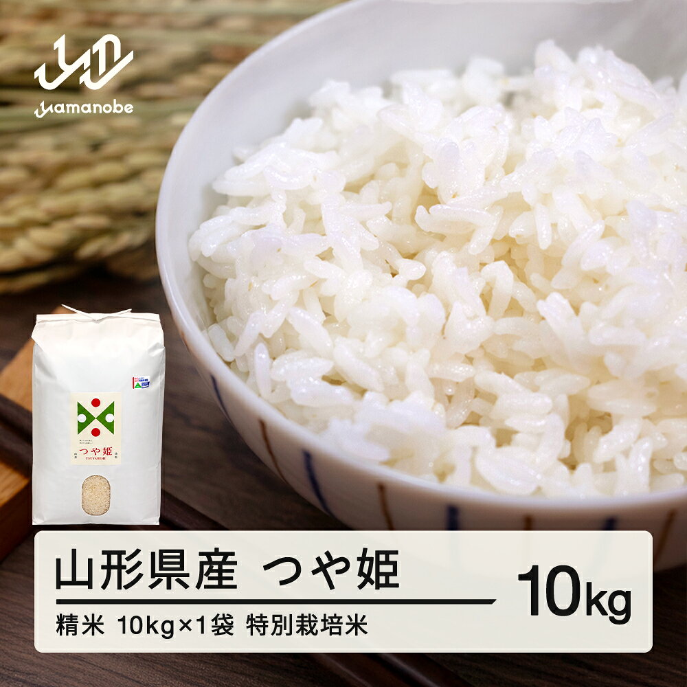 【ふるさと納税】新米 つや姫 精米 10kg 特別栽培米 配送時期選べる 令和8年産 2026年産 山形県産 送料無料 ※沖縄・離島への配送不可 on-tsxxb2