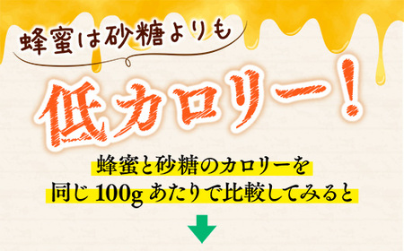 岩湧ハニー(百花、純粋はちみつ)　500ｇ×1本
