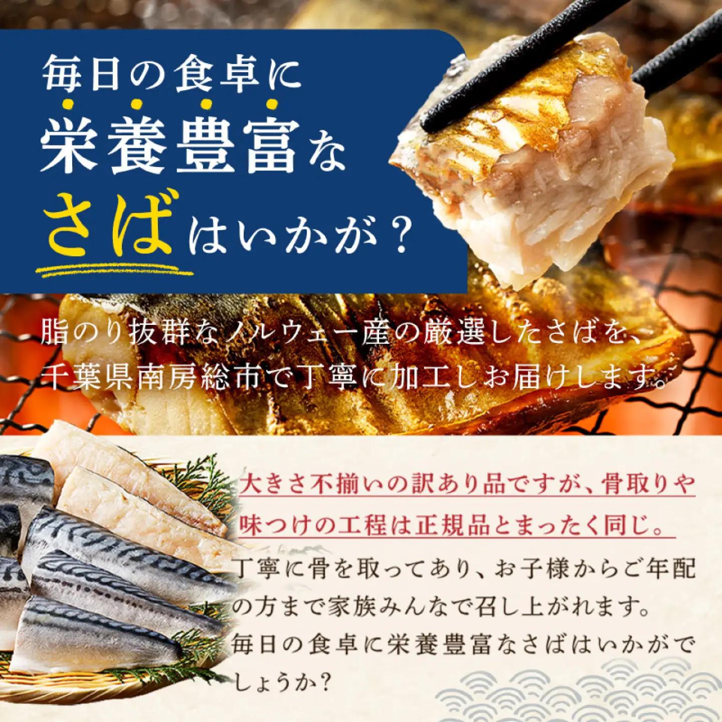 【訳あり】骨取り塩さば 切身2.5kg（500g×5袋） mi0012-0097 