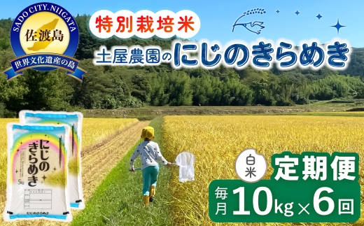 【定期便 令和8年産新米 6か月】 佐渡島産にじのきらめき 白米 10Kg 令和8年産新米 特別栽培米 土屋農園 | 新潟県産にじのきらめき 佐渡産にじのきらめき にじのきらめき お米 米 白米 精米 おこめ コメ 10キロ にいがた さど 新潟県 佐渡市