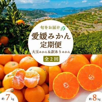 【ふるさと納税】【発送月固定定期便】愛媛みかん大玉8kg(訳)×愛媛みかん7kg(訳)【E25-254】全2回【4070903】