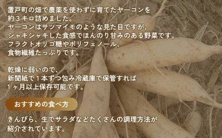 ヤーコン 3kg OTE001 | ヤーコン