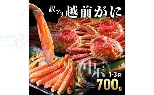 【期間限定・数量限定・先行予約】【訳アリ】越前がに 中小サイズ 700g【敦賀 越前蟹 カニ 蟹 ズワイガニ ズワイ蟹 海鮮 かに鍋 かにしゃぶ 】[090-a006]