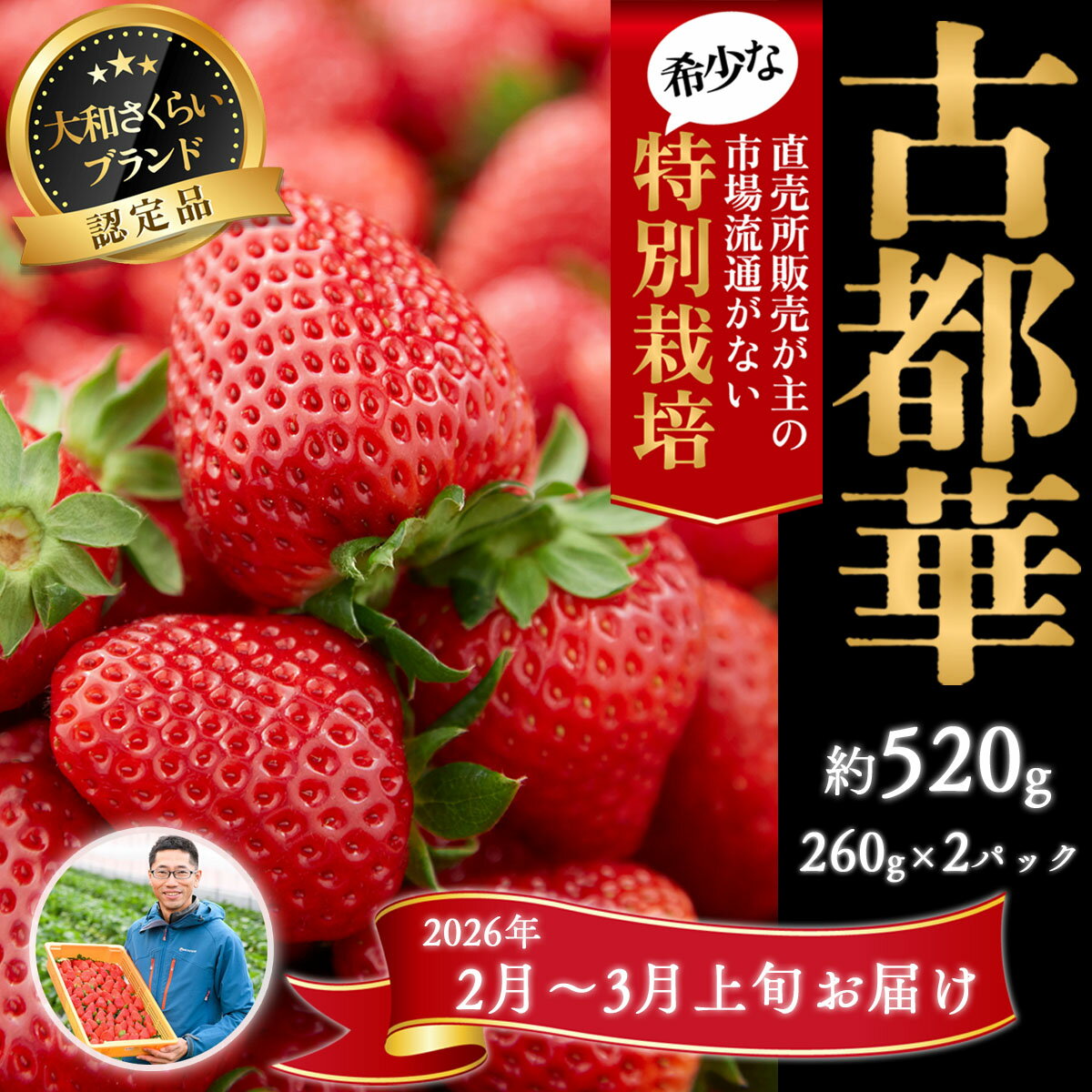 【ふるさと納税】＜2月～3月上旬発送＞減農薬いちご「古都華」2パック 特別栽培農産物／奈良県 苺 先行予約 ジャム 数量限定 期間限定 ブランド 大福 人気 減農薬 特別栽培 Odamaki農園 M-B6