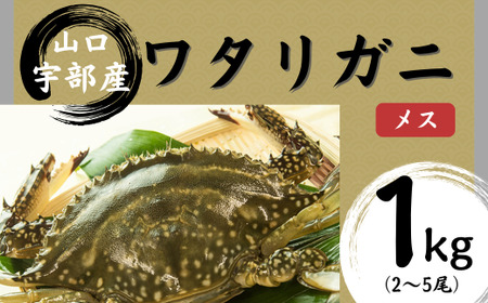 【北海道・東北・沖縄・離島配送不可／着日指定必須】ワタリガニ [メス] 約1kg(2～5尾) ワタリガニ