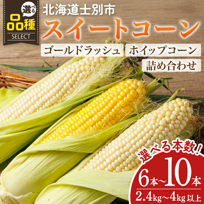 【ふるさと納税】＜期間限定＞天塩川源流スイートコーン (6本～10本) 【2026年8月より順次発送】 ゴールドラッシュ ホイップコーン 北海道産 北海道 士別市 とうもろこし トウモロコシ とうきび 野菜 産地直送 【三栄アグリ】