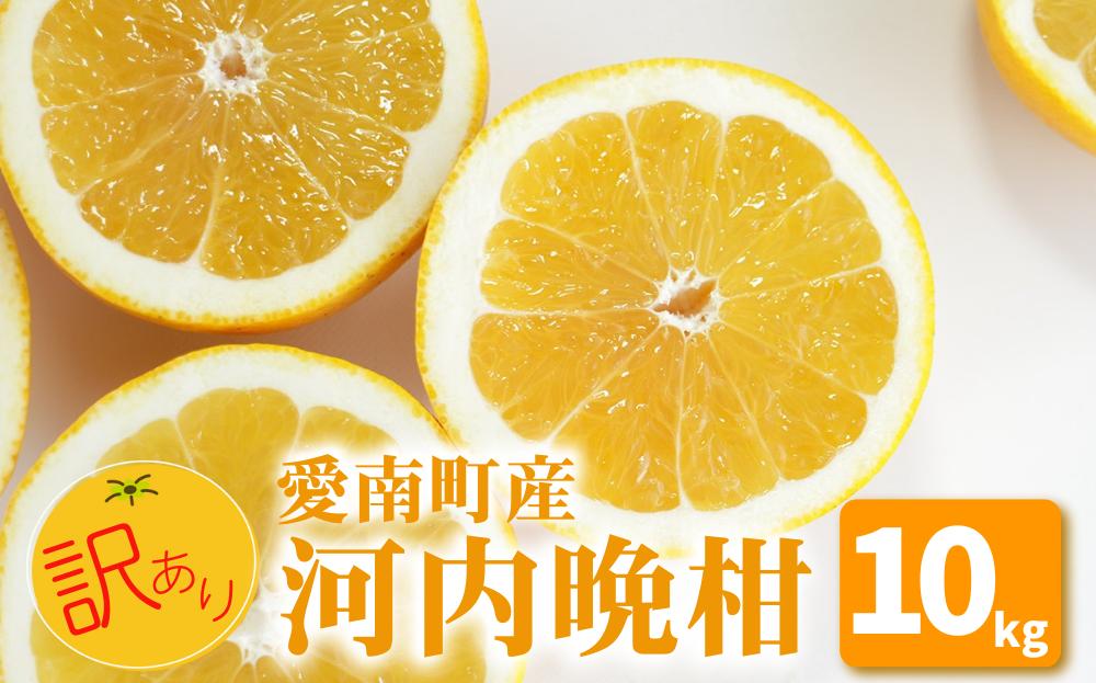 
            【 先行予約 】 訳あり 河内晩柑 10kg 送料無料 わけあり ワケアリ 不揃い 愛媛 愛南町産 愛南ゴールド 和製 グレープフルーツ みかん 蜜柑 柑橘 柑橘類 フルーツ 果物 くだもの 食品 食べ物 お取り寄せ グルメ 家庭用 ジューシーフルーツ 美生柑 生食 ジュース ゼリー ジャム スムージー ビタミンC 旬 愛媛県 愛南町 山口農園
          