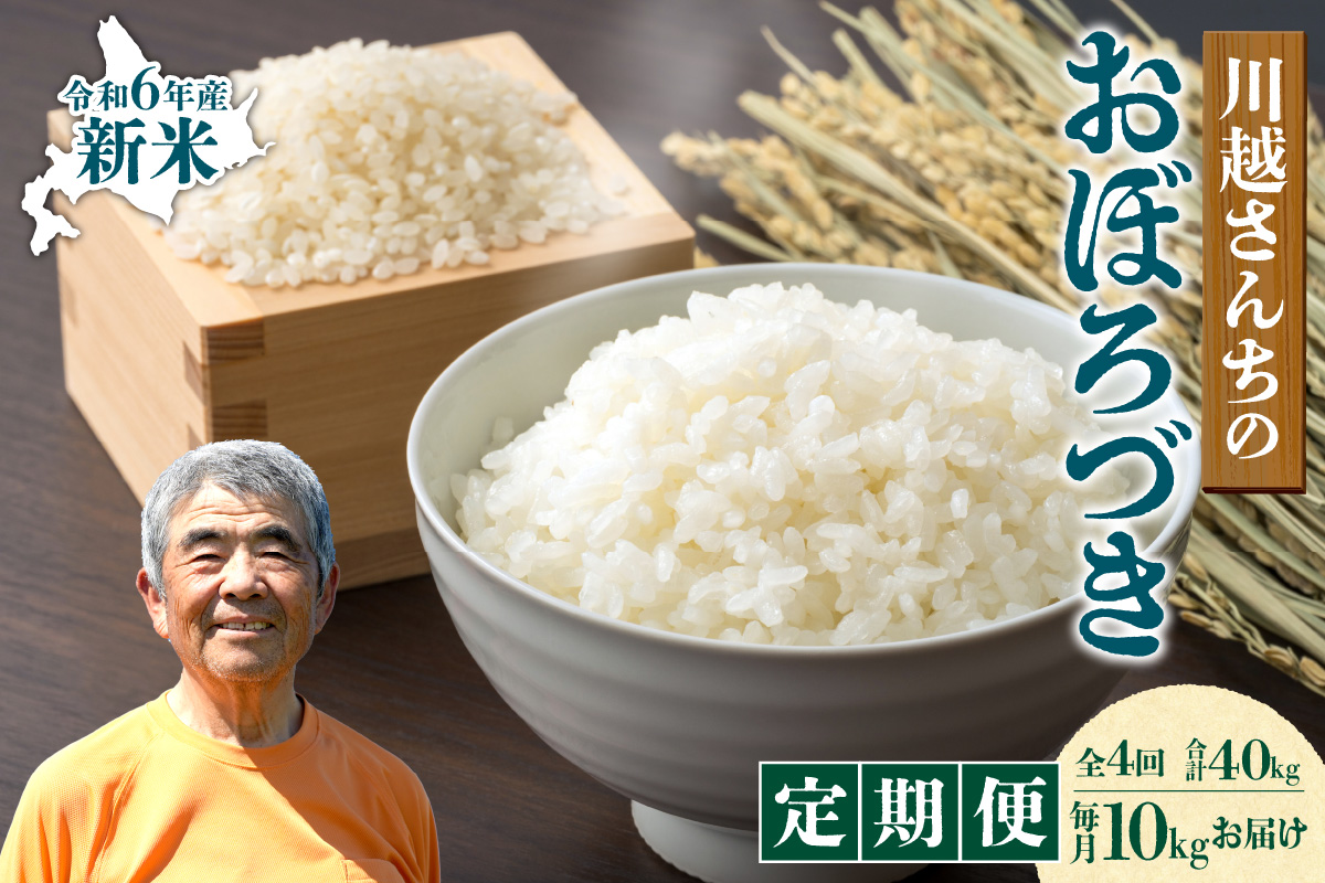 【定期便全4回】令和6年産 川越さんちの おぼろづき　10kg（5kg×2袋）毎月1回お届け 雨竜産 精米 定期便 10kg お米 お取り寄せ 北海道 雨竜町