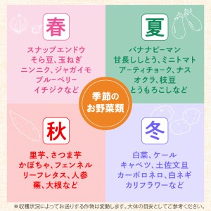 農業姉妹がこだわって栽培！ 白米5kgと旬の野菜詰め合わせ8種 1年定期便【024A-014】