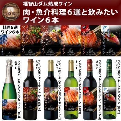 ふるさと納税 直方市 福智山ダム熟成 肉&amp;魚介料理6選と飲みたい赤&amp;白&amp;SPワイン6本詰め合わせセット FD339