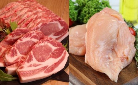 冷凍 餃子 6パック 6人前 葉 ニンニク 四万十ポーク 無添加 有機野菜 グルテンフリー餃子 高知県 須崎市 ギフトセット