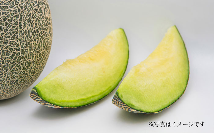 【先行予約】【数量限定】肥後グリーンメロン　約4kg(2玉入)【日本フルーツ株式会社】 [ZFJ004]
