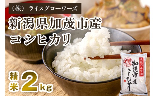 【令和7年産】新潟県加茂市産コシヒカリ 精米2kg 《順次出荷 》 新潟県産コシヒカリ 新潟産コシヒカリ 新潟コシヒカリ 新潟県産こしひかり 新潟産こしひかり 新潟こしひかり コシヒカリ こしひかり お米 白米 米  （株）ライスグローワーズ