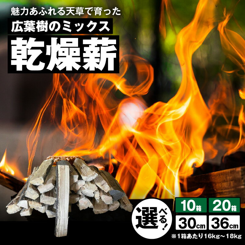 【ふるさと納税】天草産 広葉樹 ミックス 薪 乾燥薪 選べる 内容量 10箱 20箱 160kg ～ 360kg 長さ 30cm 36cm ナラ シイ サクラ 樫 火持ちが良い 長時間燃焼 薪ストーブ 焚火 キャンプ ピザ窯 暖炉 BBQ ボイラー 薪風呂 自然の恵み 熊本県 天草市 送料無料