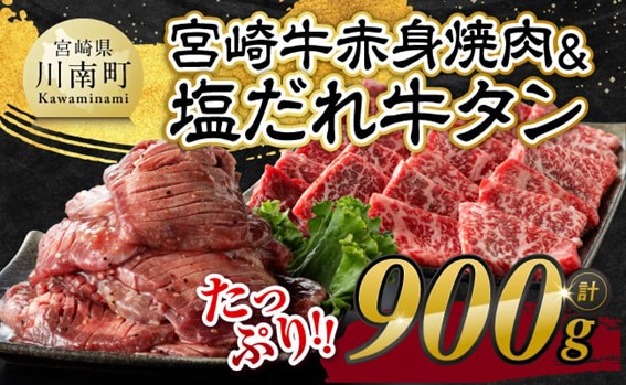 【令和7年12月発送】宮崎牛赤身焼肉＆塩だれ牛タン　計900g 【 肉 宮崎牛 赤身 牛肉 牛たん たん 厚切り 塩ダレ 塩だれ タン 味付き BBQ 焼肉 焼き肉 焼くだけ おかず 簡単調理 】 [E11147r712]