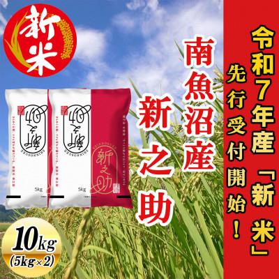 ふるさと納税 南魚沼市 【先行受付】南魚沼産新之助10kg&lt;2025年11月上旬発送開始予定&gt;