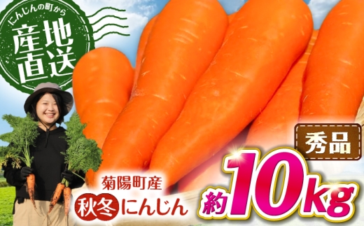 【先行予約】【2026年11月より順次発送】菊陽秋冬にんじん 秀品 約10kg / にんじん 菊陽にんじん 秋冬にんじん ニンジン 人参 野菜 熊本 菊陽 【さかもと農園】 [BHDL005]