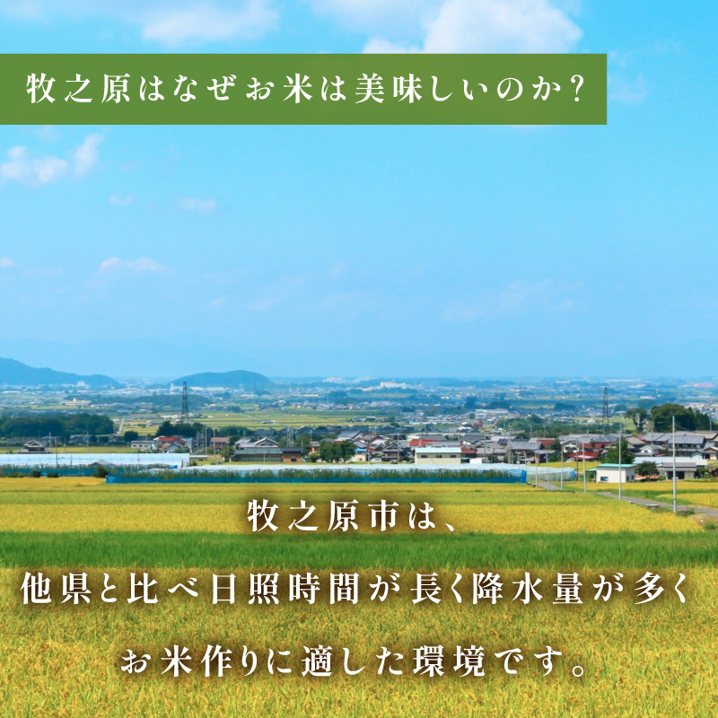 【事前受付】定期便 3ヶ月 令和8年度産 新米 コシヒカリ 米 5kg  精米 白米 国産 おいしい お米 こめ 静岡県 牧之原市 タタラ商店 【定期便3か月】 5kg（45,000円）
