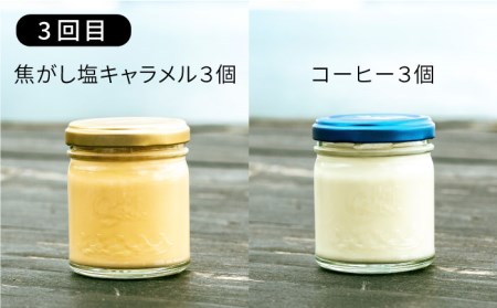 [ 全3回 ] 行列 のできる プリン と 塩 ！ またいちの塩 からの 定期便 《糸島》 【新三郎商店】 [AEB006]