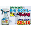 【ふるさと納税】天然植物成分由来の カビ取りスプレー お試し1本 カビ取り お試し 天然植物成分