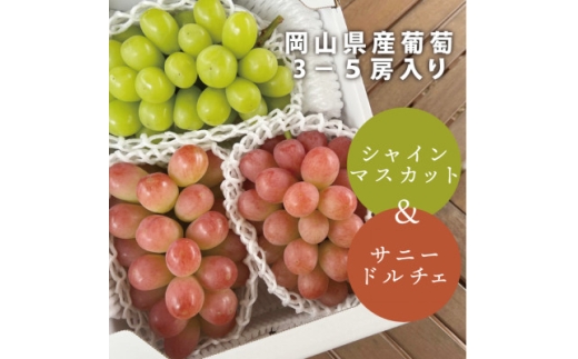 シャインマスカット&希少品種のサニードルチェ 3-5房/計2kg～(岡山県産)【1551283】