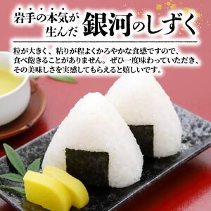 銀河のしずく パックご飯 180g×12食 (3個×4パック) 一等米 精米 岩手県産 米 白米 レンジ レンチン パック 小分け ご飯 はくまい コメ rice ごはん 常温 常温保存 保存 農家 