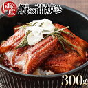 【ふるさと納税】国産うなぎカット 合計300g（60g×5袋） ウナギ 鰻 高知県 東洋町 四国 お取り寄せ 家庭用 自宅用 贈り物 ギフト タレ・山椒付き うな重 鰻丼 うな丼 うな茶漬け 【送料無料】U008