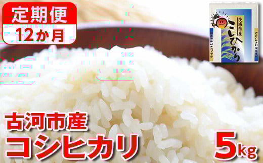 
            【定期便 12か月】令和6年産 古河市産コシヒカリ 5kg◇ | 米 こめ コメ 5キロ 定期便 精米 こしひかり  単一米 国産 古河市産 茨城県産 贈答 贈り物 プレゼント 茨城県 古河市 直送 農家直送 産地直送 送料無料 _DP36
          