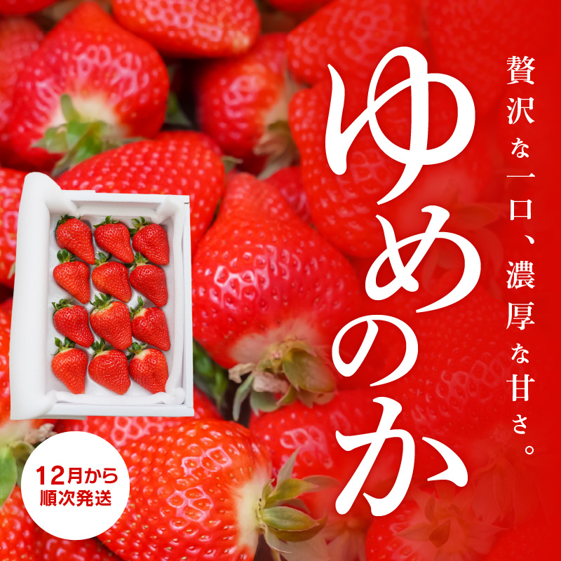（予約受付中）【12月から順次発送】まるで赤いサファイア!!丹精込めた完熟いちご!! 約900g　H130-010
