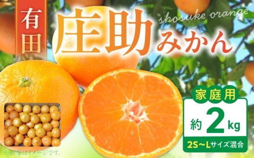 
                  【2026年先行予約】庄助みかん (家庭用・サイズ混合) 約2㎏_BK6017
                