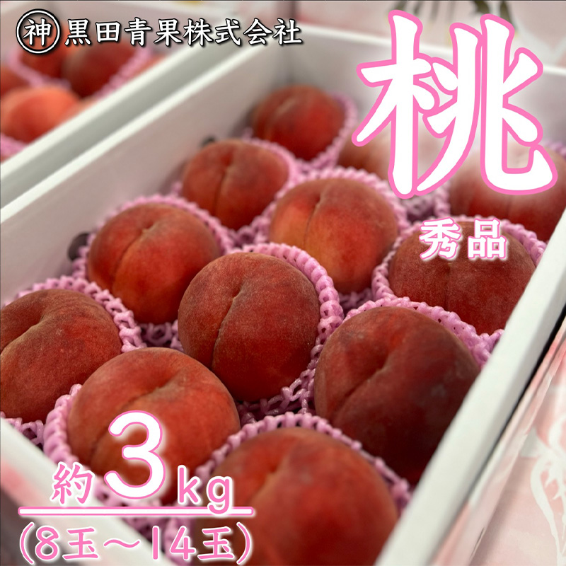 山形産 白桃 秀 3kg(8玉～14玉)【令和8年産先行予約】FU23-315