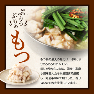 田しゅうもつ鍋セット醤油味2～3人前_もつ鍋 セット  醤油味 田しゅう 味噌 醤油 ちゃんぽん麺 めん 出汁 牛もつ 博多 郷土料理 国産牛  牛もつ鍋 博多もつ鍋 福岡県 久留米市 お取り寄せ お