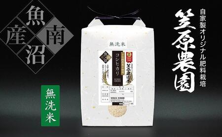 【定期便】【令和6年産新米】南魚沼産 笠原農園米 十年間農薬不使用コシヒカリ 無洗米（5kg×全6回）