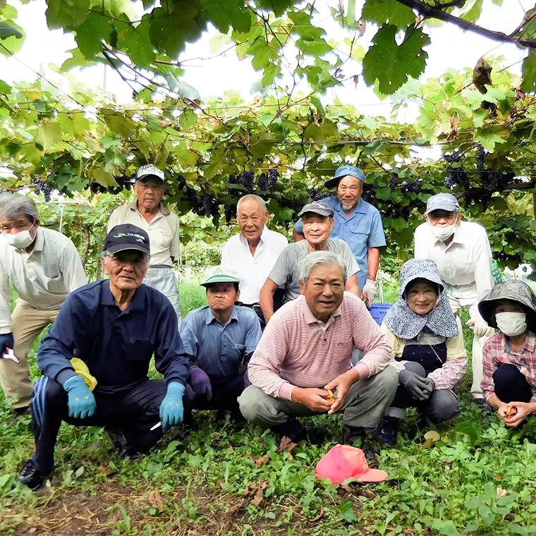 八千代夢ワインシリーズ　ヤマ・ソーヴィニョン（赤）・きぬ（白）２本セット（茨城県共通返礼品 八千代町）国産ワイン 赤ワイン 白ワイン[BW007sa]