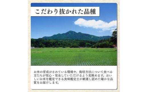 令和8年産 食味鑑定士厳選 新潟県産こしひかり 無洗米 10kg 上越市 米 コメ コシヒカリ ファインリョーコク