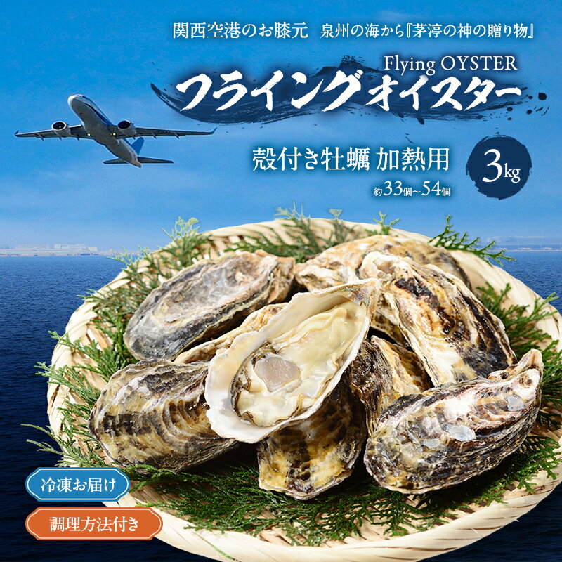 【ふるさと納税】冷凍お届け　殻付き牡蠣　3kg （約33個～54個）加熱用 調理方法付き フライングオイスター牡蠣 春木牡蠣養殖共同事業 岸和田市